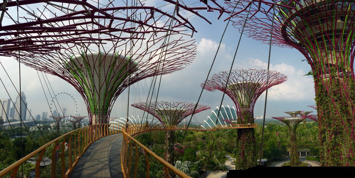 新加坡室内花园