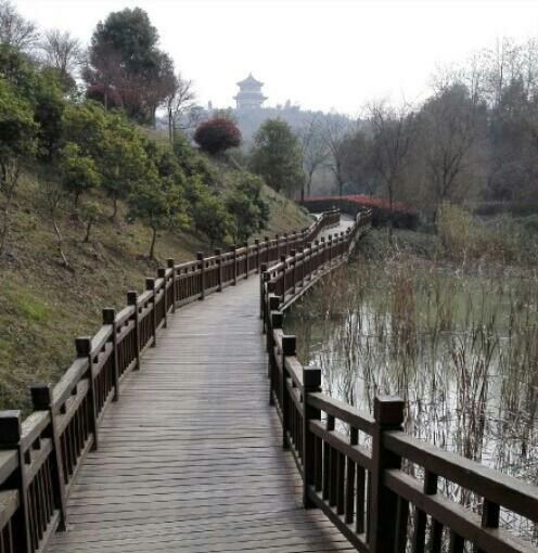 南山公园