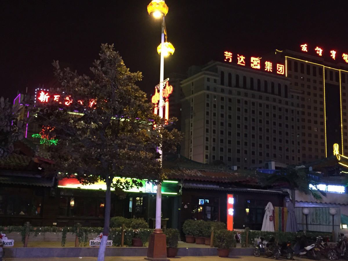 2022牡丹广场-旅游攻略-门票-地址-问答-游记点评,洛阳旅游旅游景点