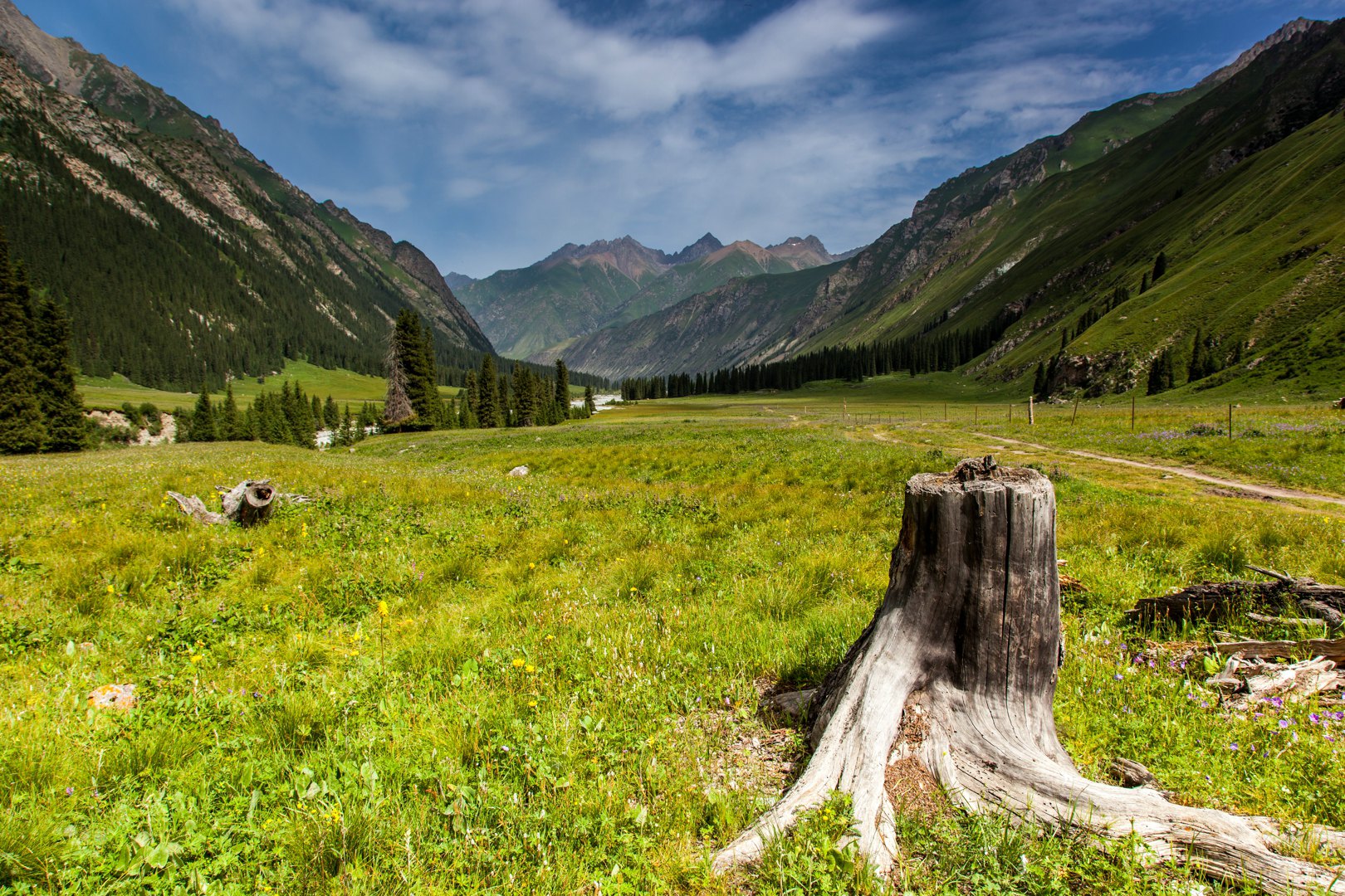 直飞伊犁,享受天山河谷-世界级景观