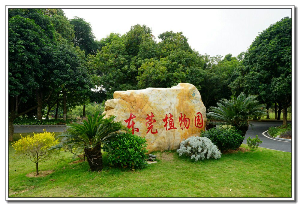 东莞植物园