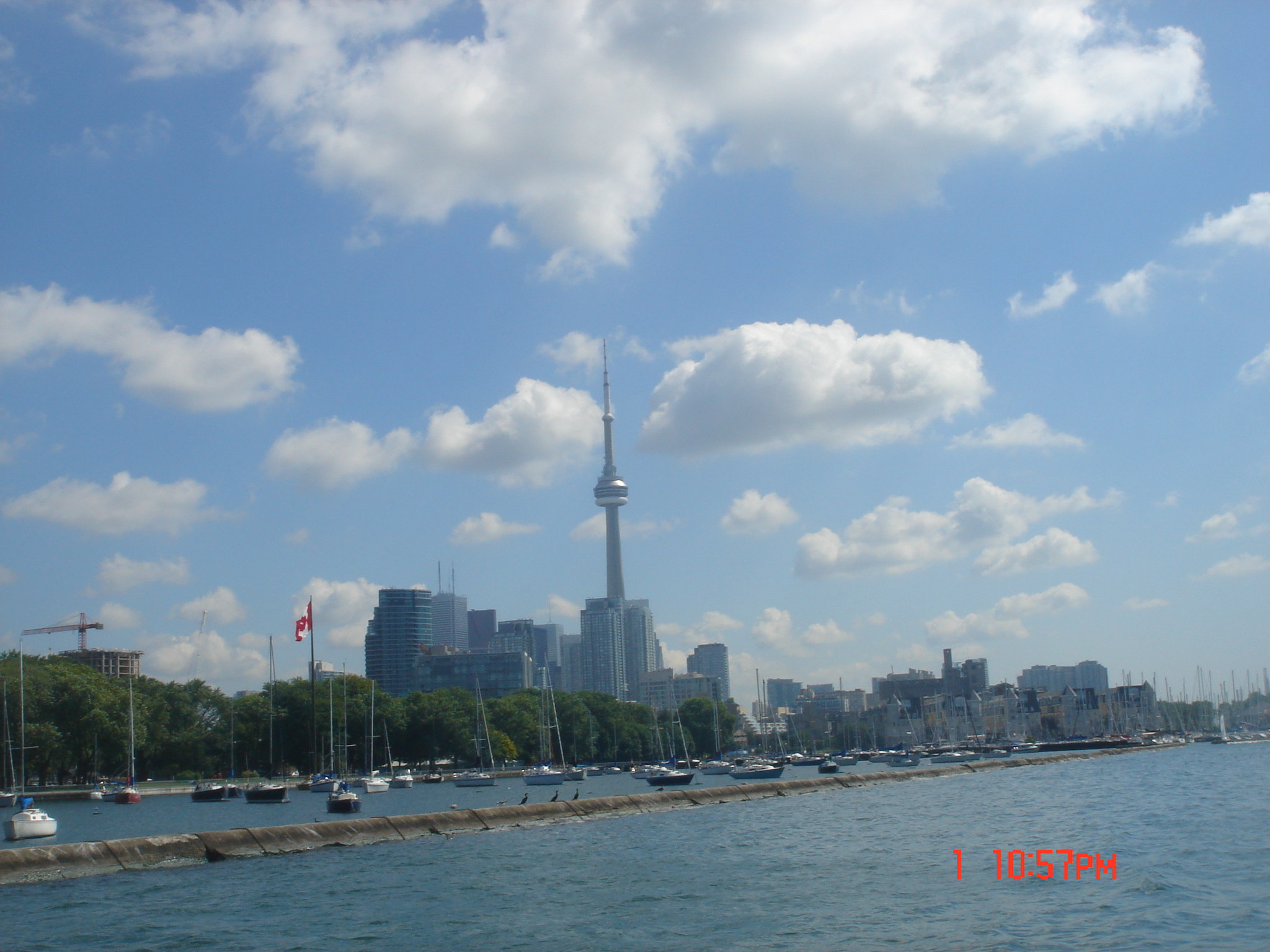 多伦多港湾toronto harbour