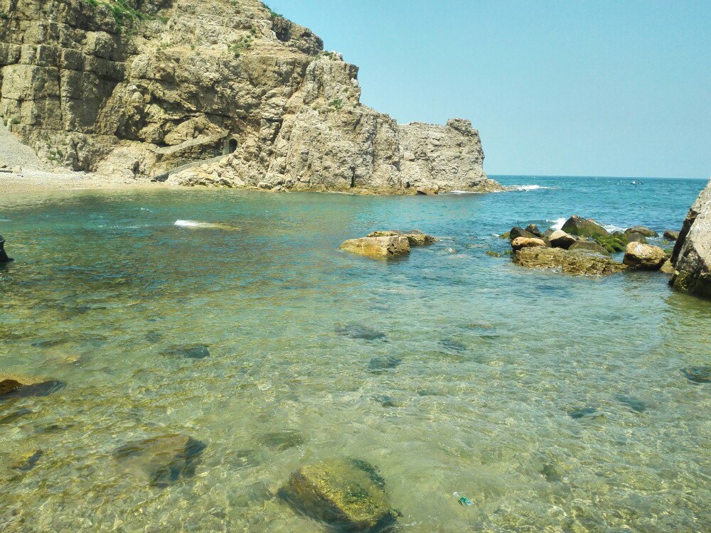 荣成海驴岛好玩吗,荣成海驴岛景点怎么样_点评_评价