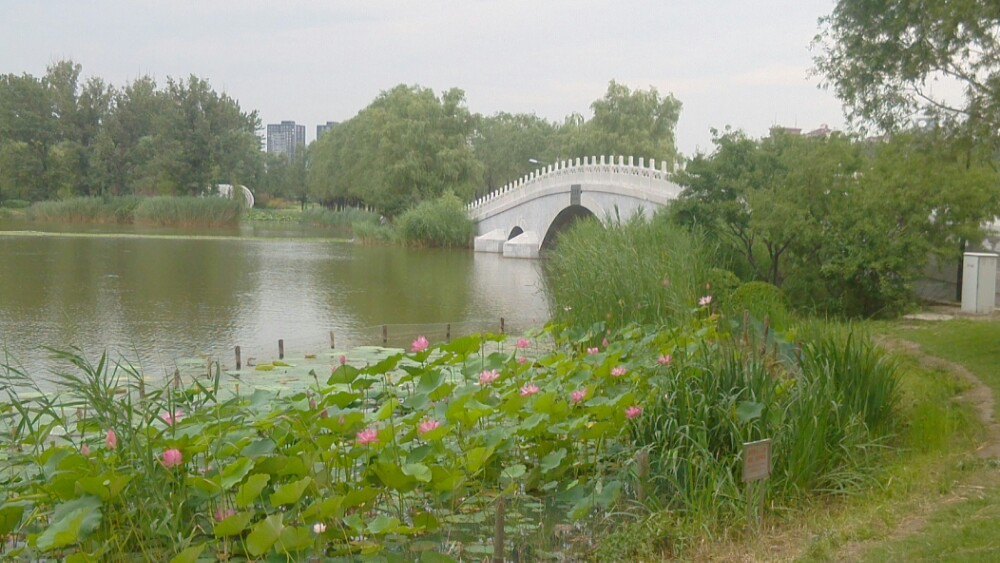 朝阳公园
