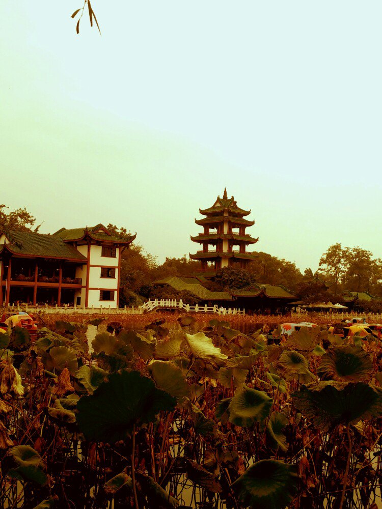 宝光桂湖文化区