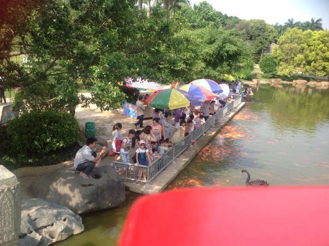 【携程攻略】广西南宁南宁动物园好玩吗,广西南宁动物