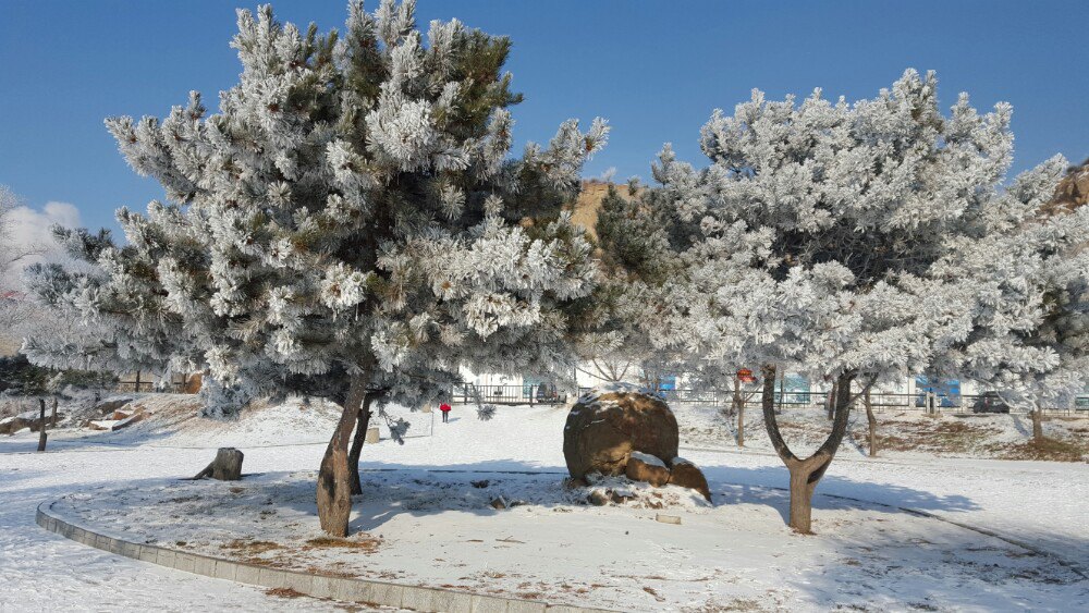 吉林雪景