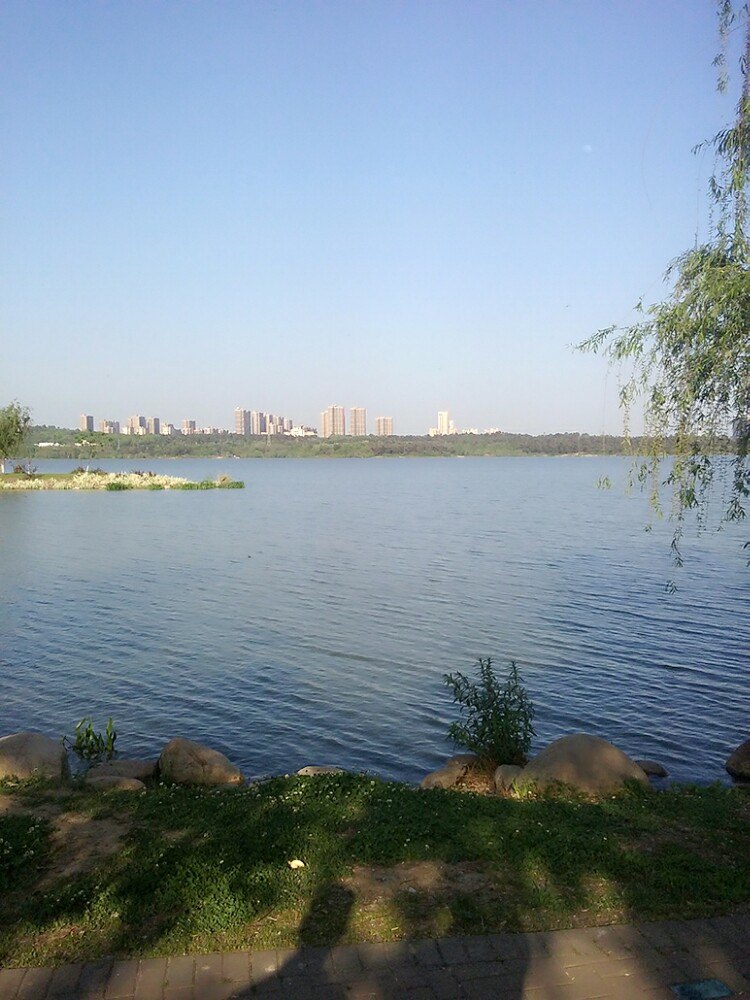 龙子湖风景区