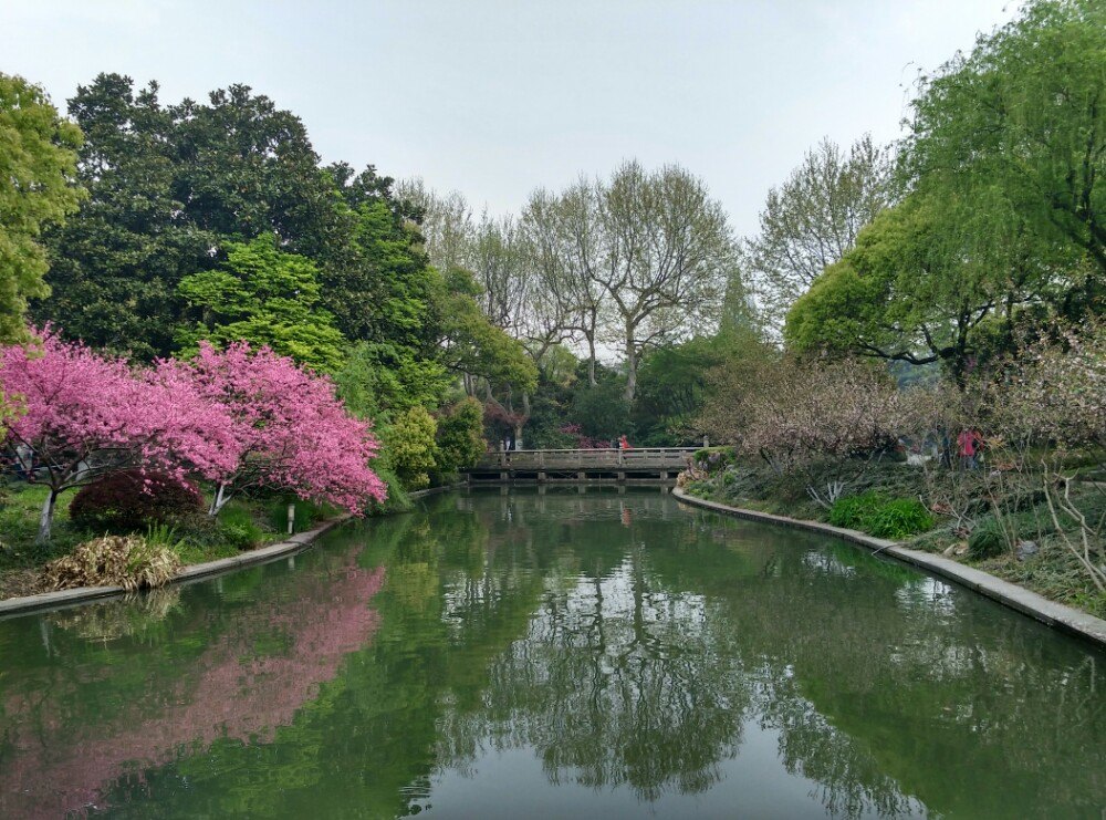 西湖春天_西湖春天人均消费(2)