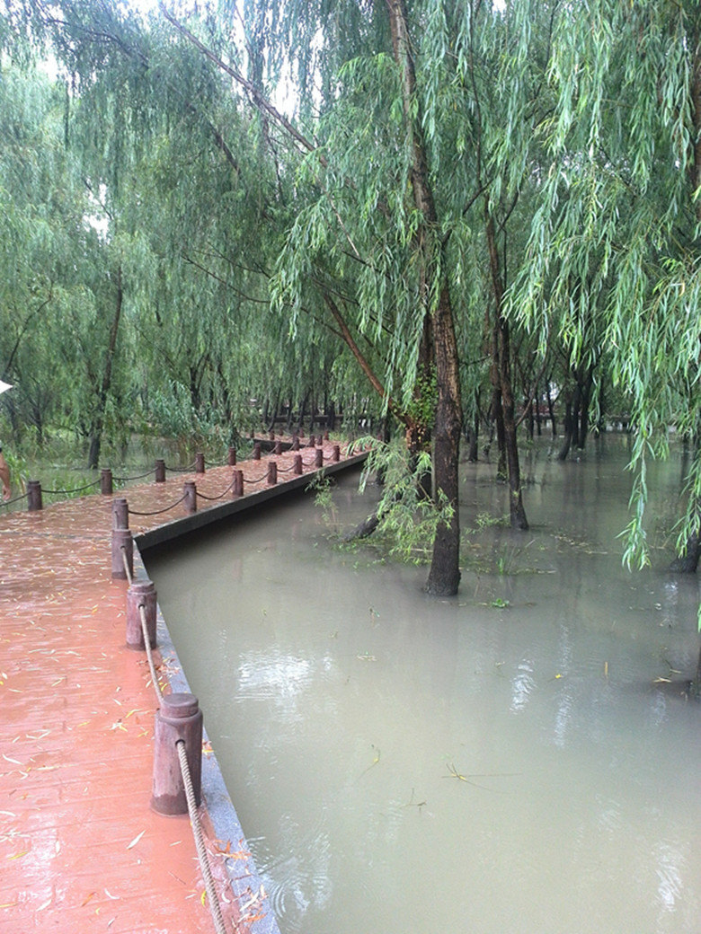 绿水湾湿地公园