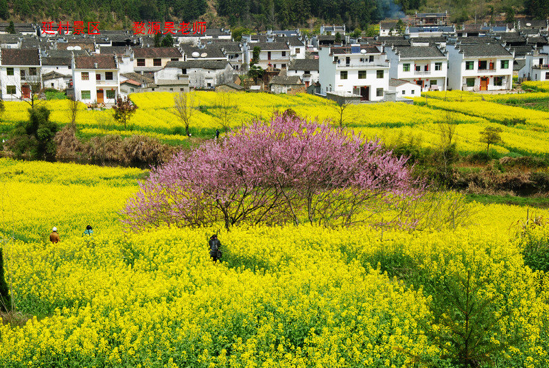 思溪延村