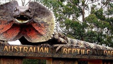 澳大利亚悉尼猎人谷 +中央海岸爬虫动物园一日