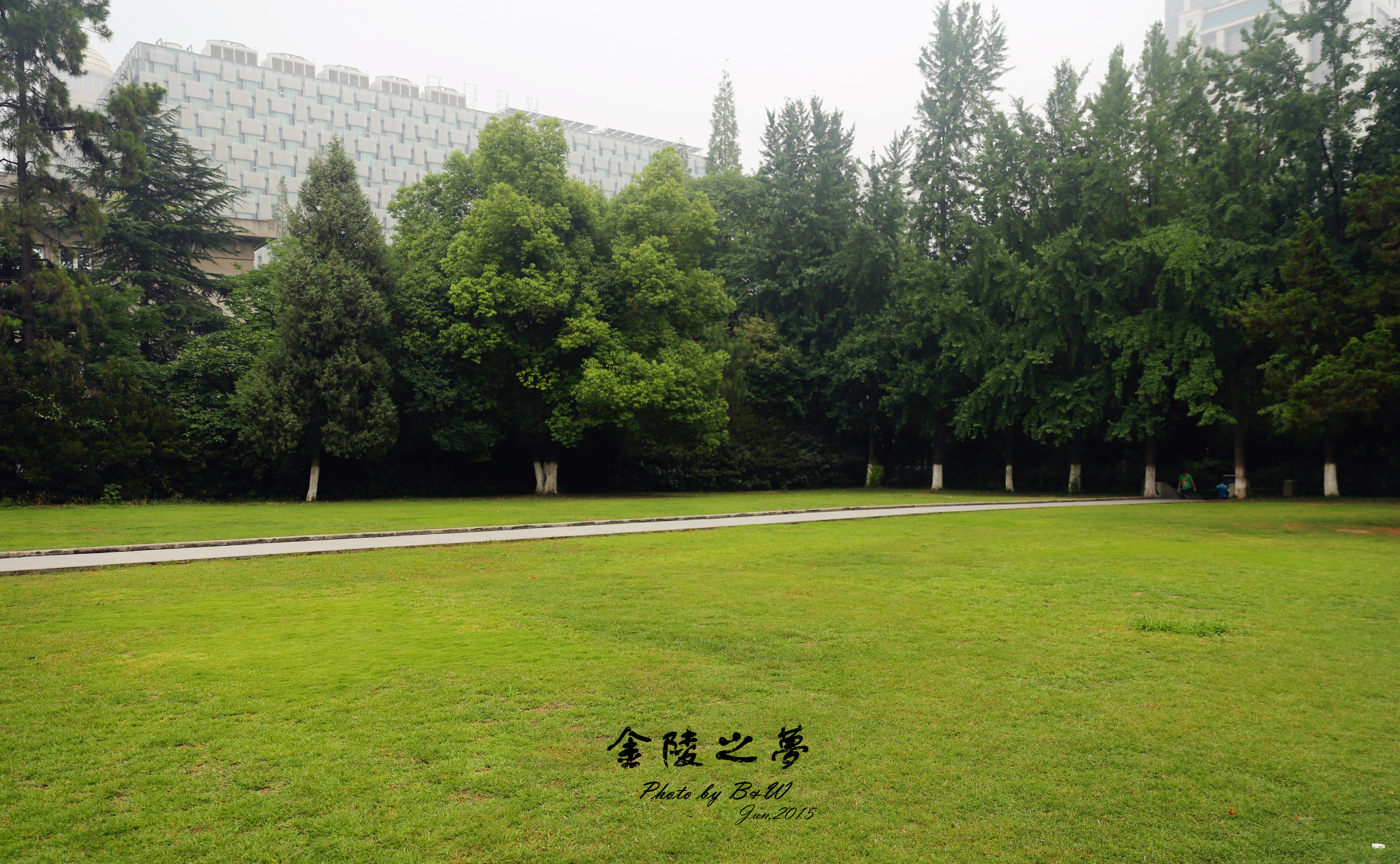 南京大学