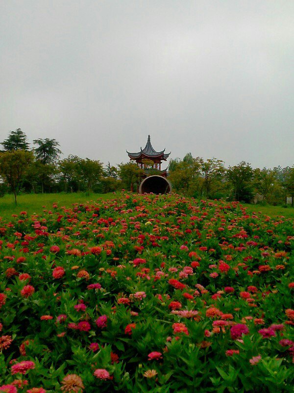 阜阳生态园旅游景点攻略图