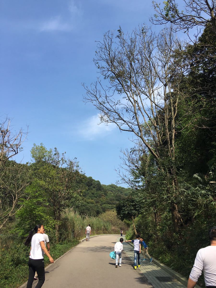 云溪生态公园