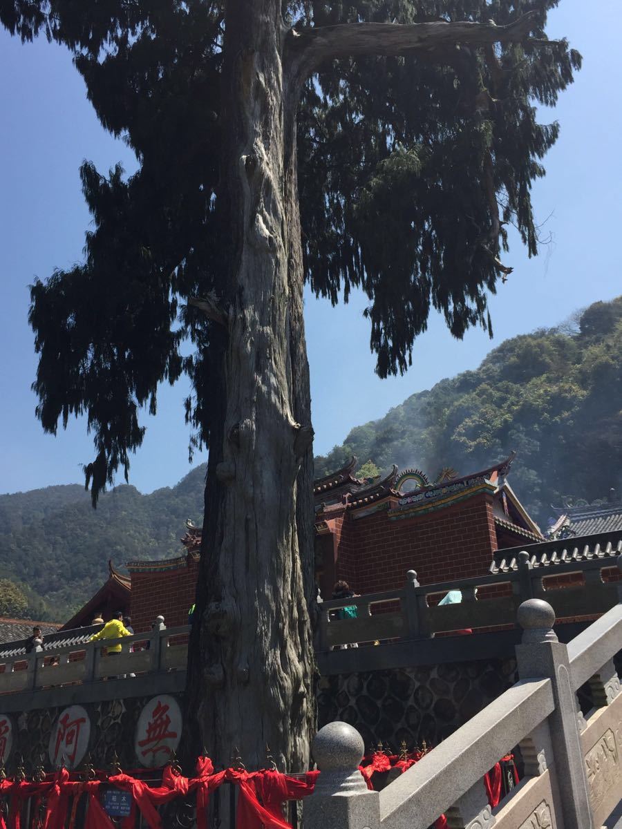 梅州阴那山(灵光寺)好玩吗,梅州阴那山(灵光寺)景点样