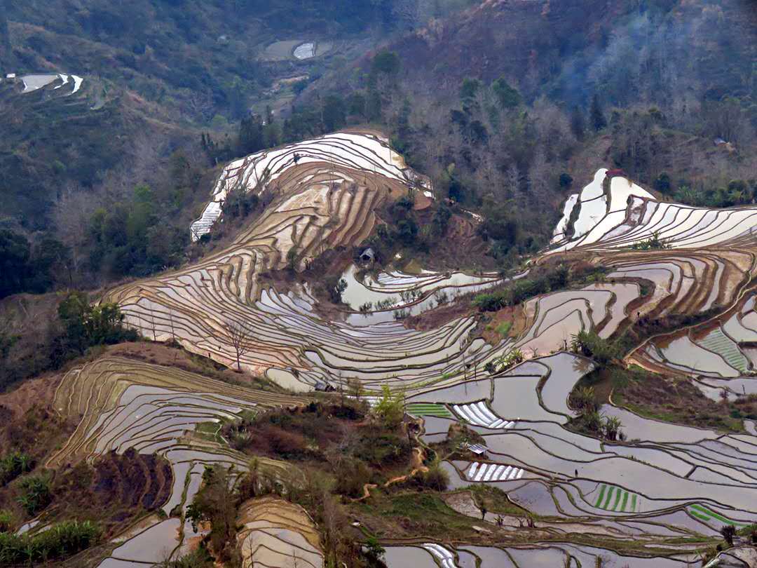 老虎嘴梯田