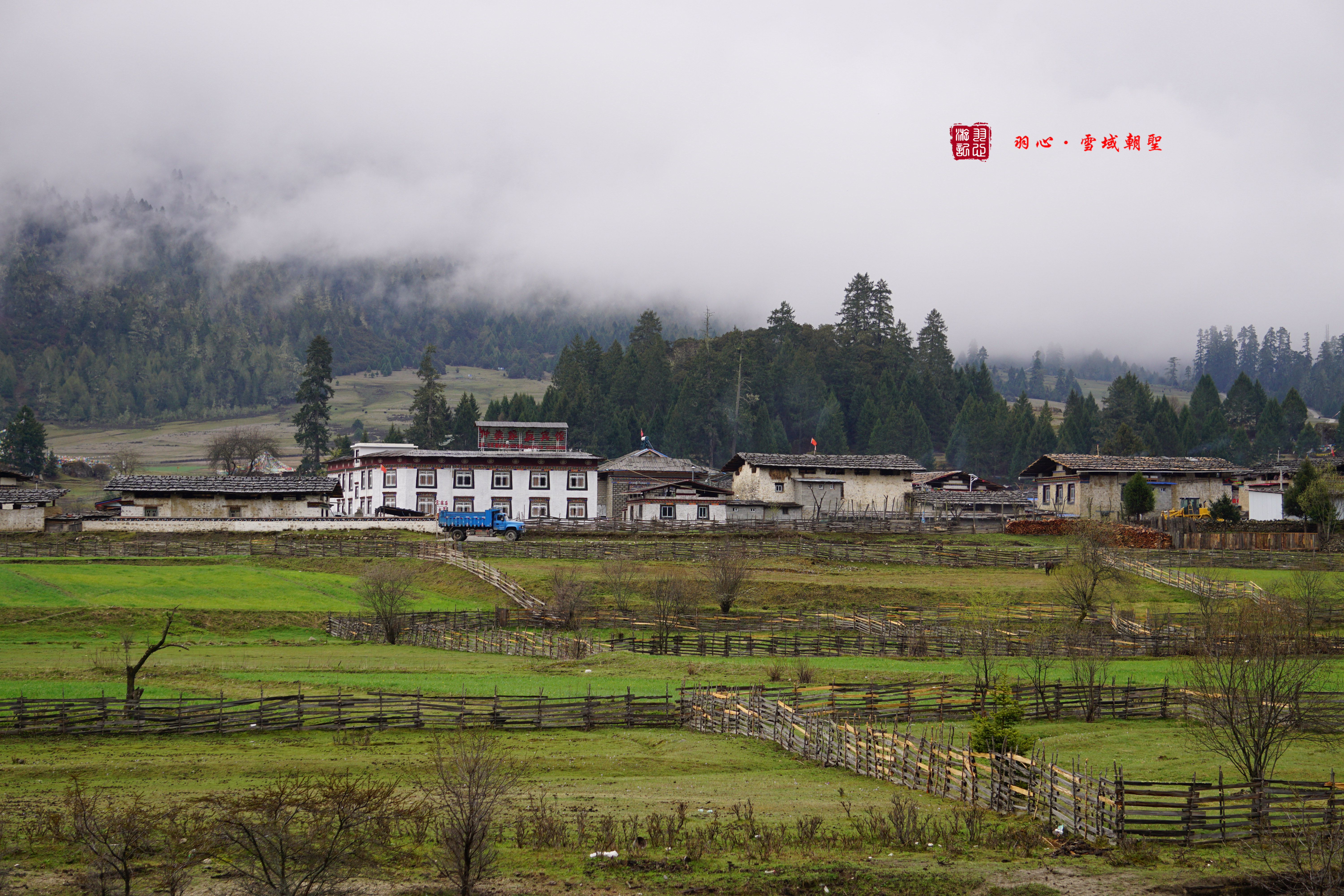 【携程攻略】西藏林芝巴宜区鲁朗镇好玩吗,西藏鲁朗镇景点怎麼样_点评