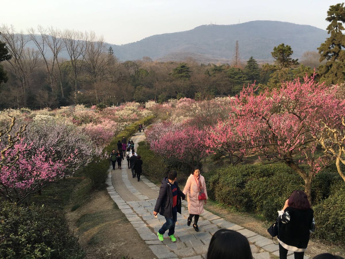 梅花山旅游景点攻略图