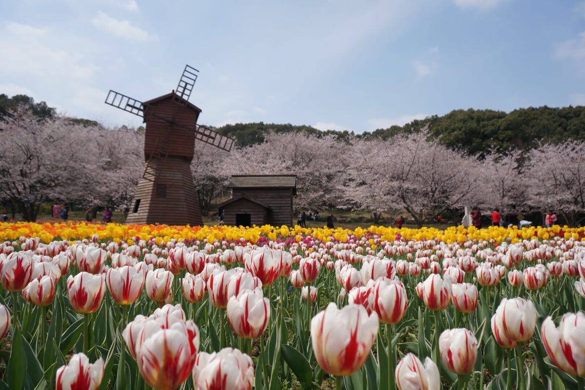 苏州上方山国家森林公园