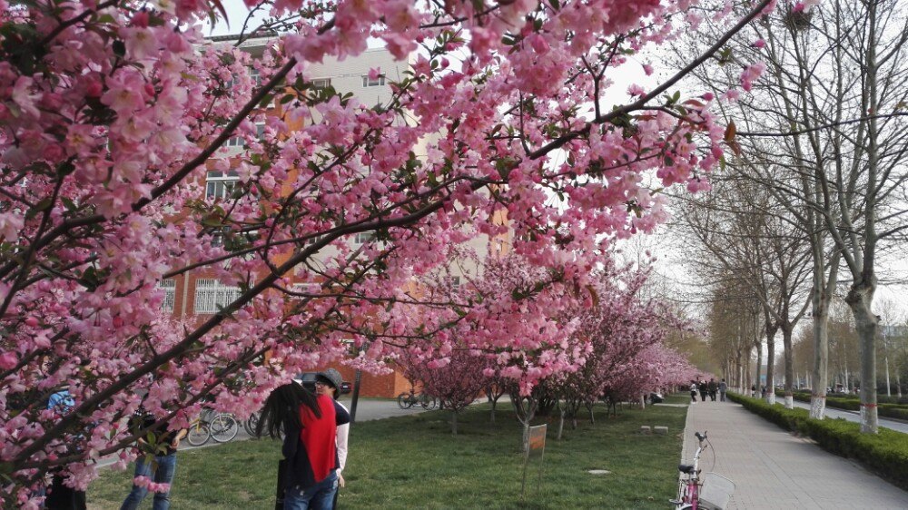郑州大学