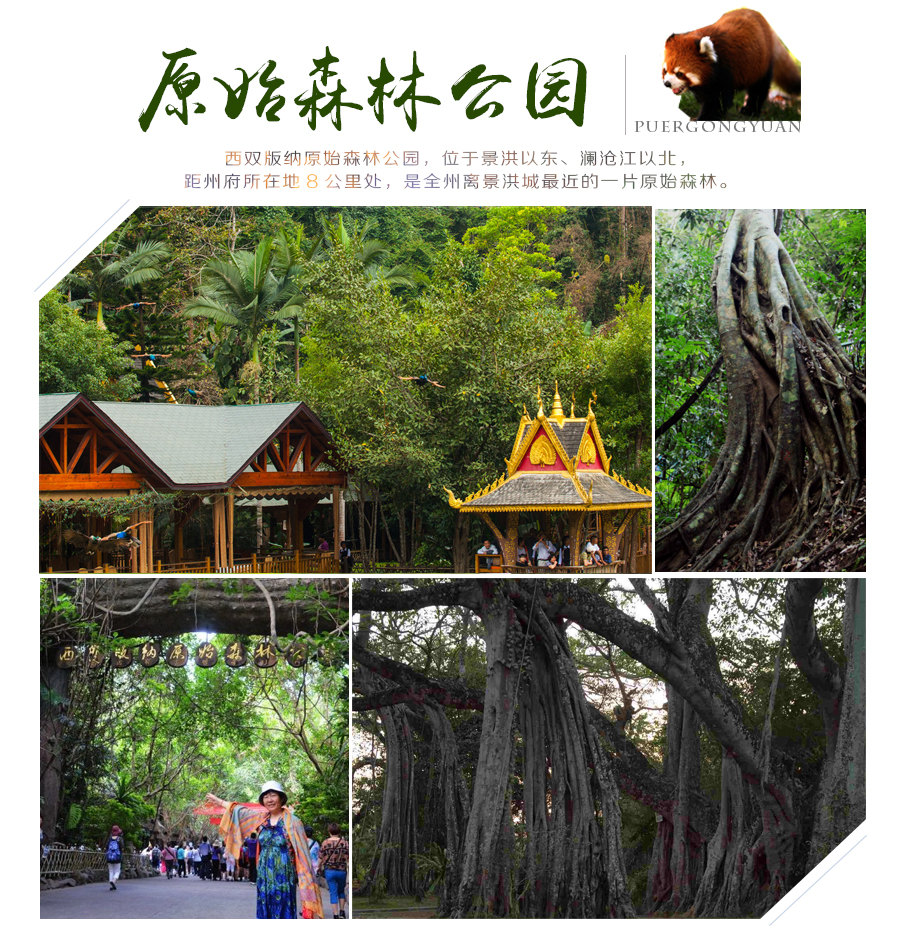 西双版纳傣族园