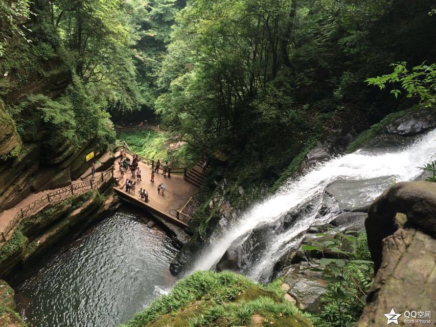 2019雅安碧峰峡熊猫基地-旅游攻略-门票-地址-问答-,.