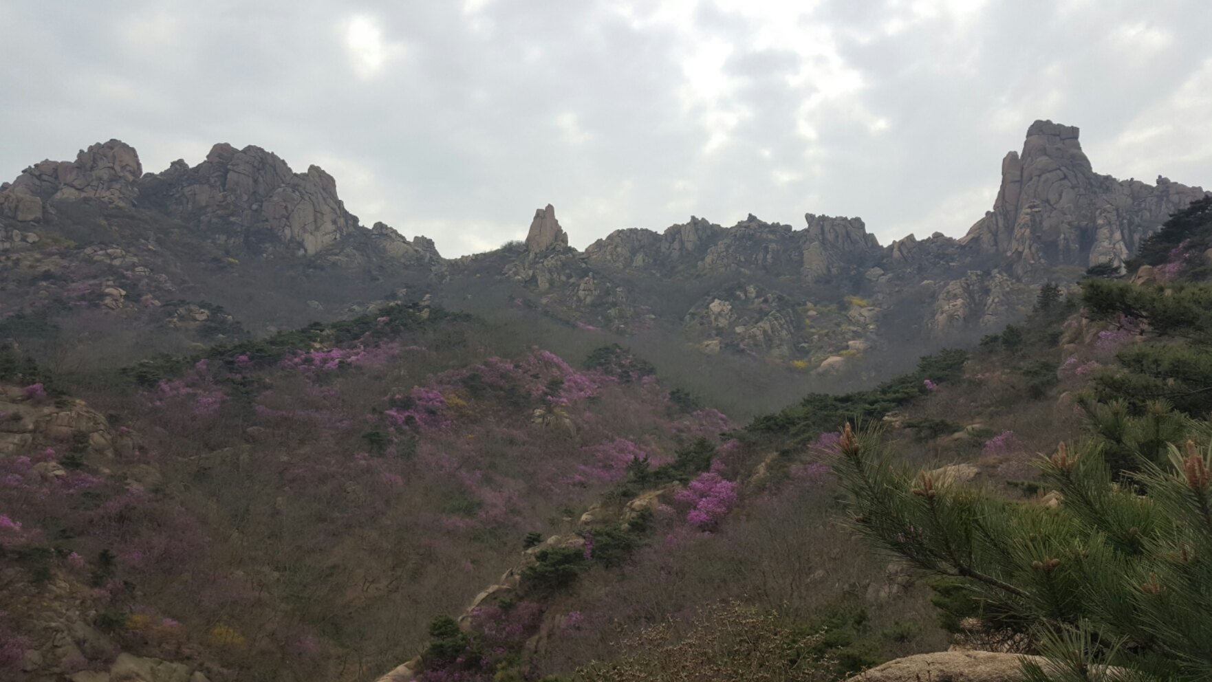 2020大珠山风景区-旅游攻略-门票-地址-问答-游记点评,青岛旅游旅游