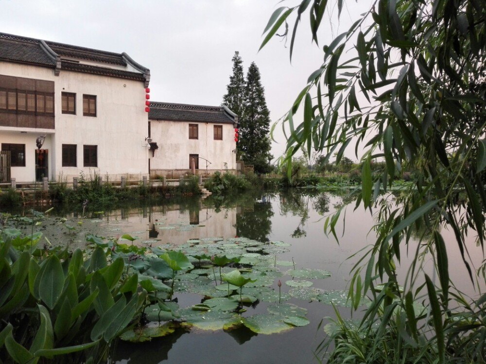 杨柳湖风景区