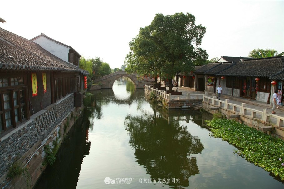 满眼葱绿,江南水景,荡口古镇