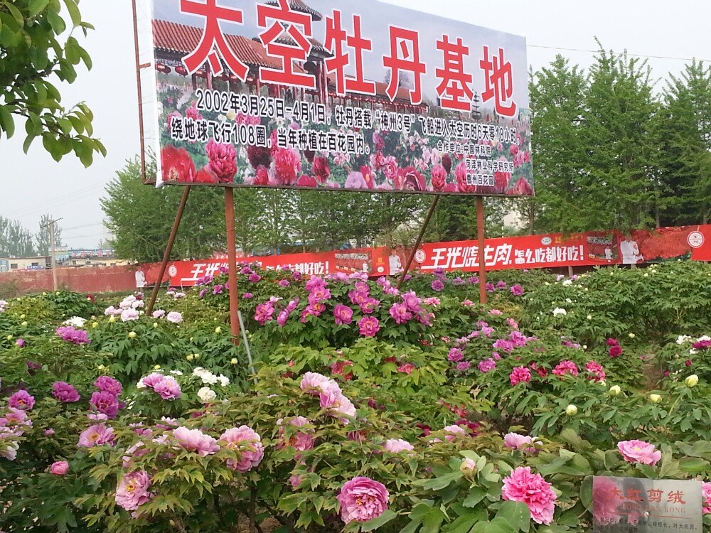 曹州百花园