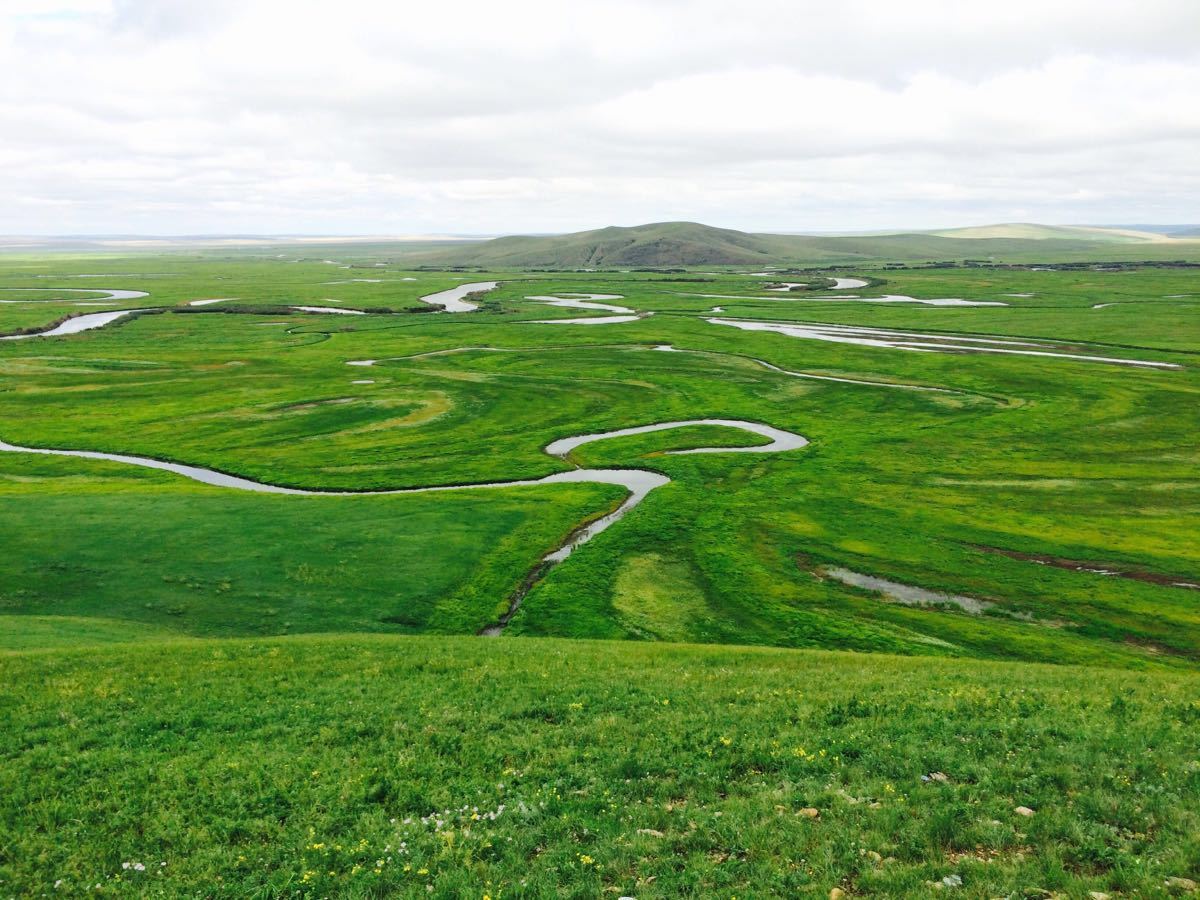 给您一条适合您的路线这条路线上的草原最好看了照片实景,存手机拍摄