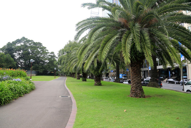 悉尼、堪培拉21日自由行⒁悉尼6-样板植物园-理发店室内设计皇家图片