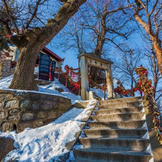 华山镇岳宫攻略-镇岳宫门票价格多少钱-团购票价预定