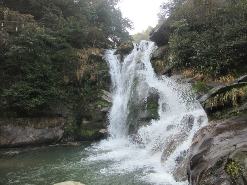 平江福寿山森林公园景点怎么样_点评_评价【携程攻略】