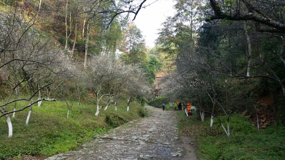 大余梅关古驿道攻略,大余梅关古驿道门票/游玩攻略