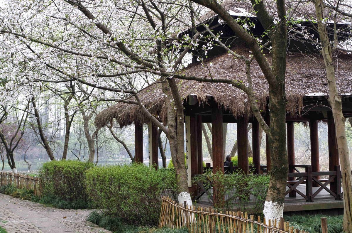 2019茅家埠_旅游攻略_门票_地址_游记点评,杭州旅游