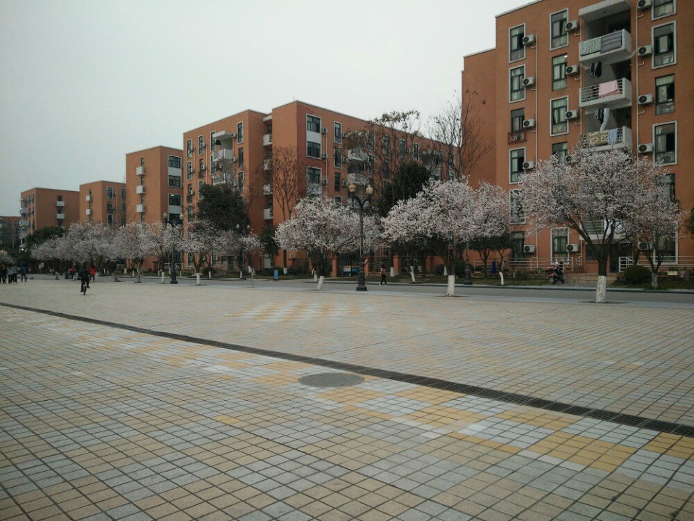 西南民族大学