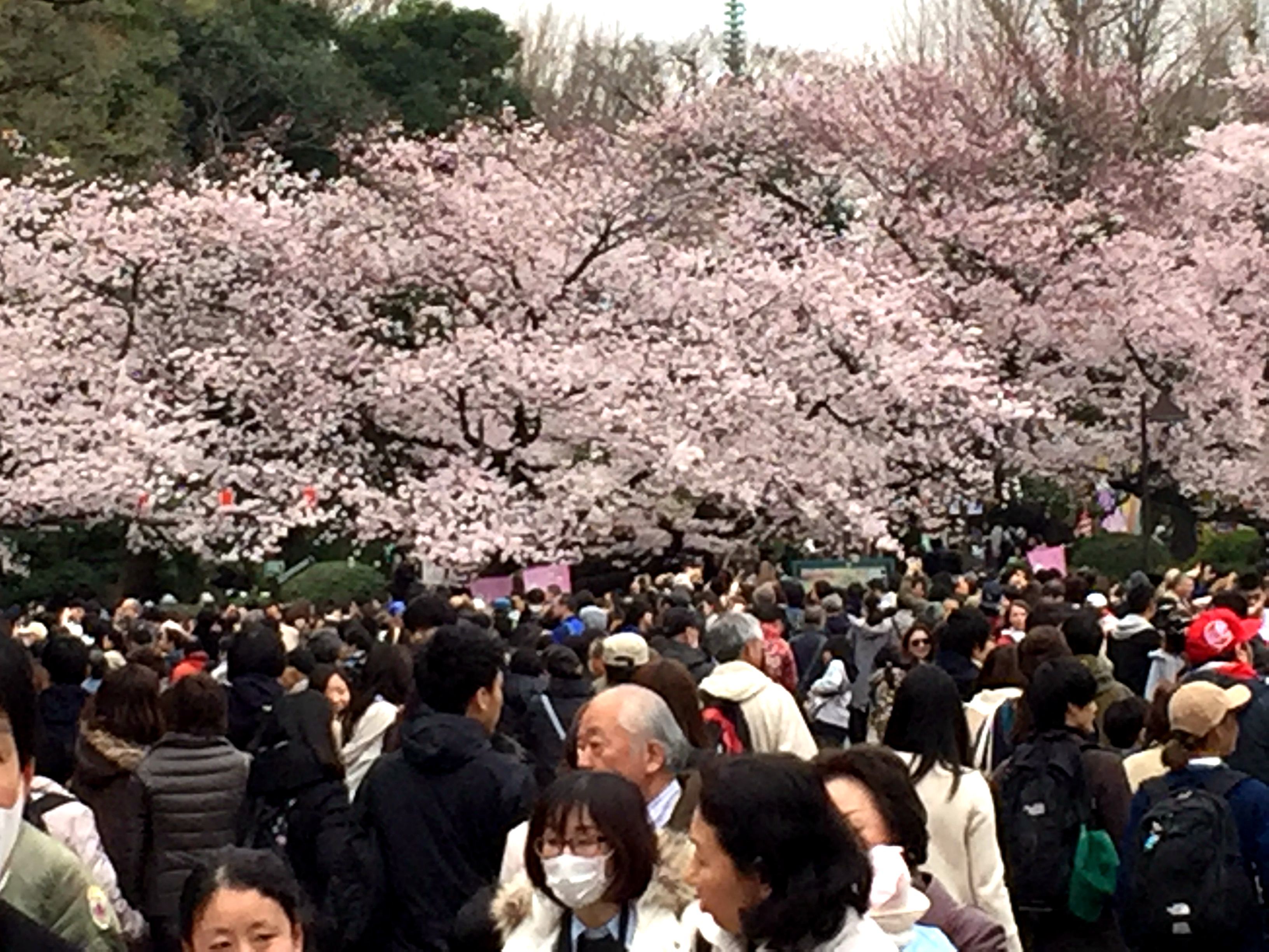 上野公园