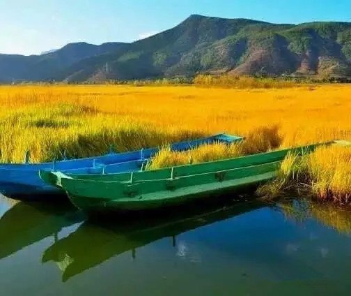 【携程攻略】泸沽湖草海好玩吗,泸沽湖草海景点怎么样