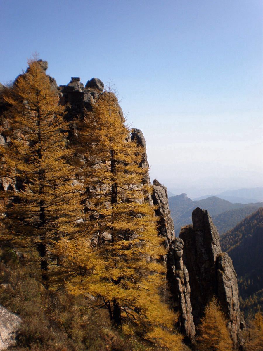 芦芽山