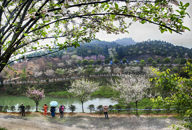 03月23日珙县天气预报:阵雨 气温: 11℃~16℃