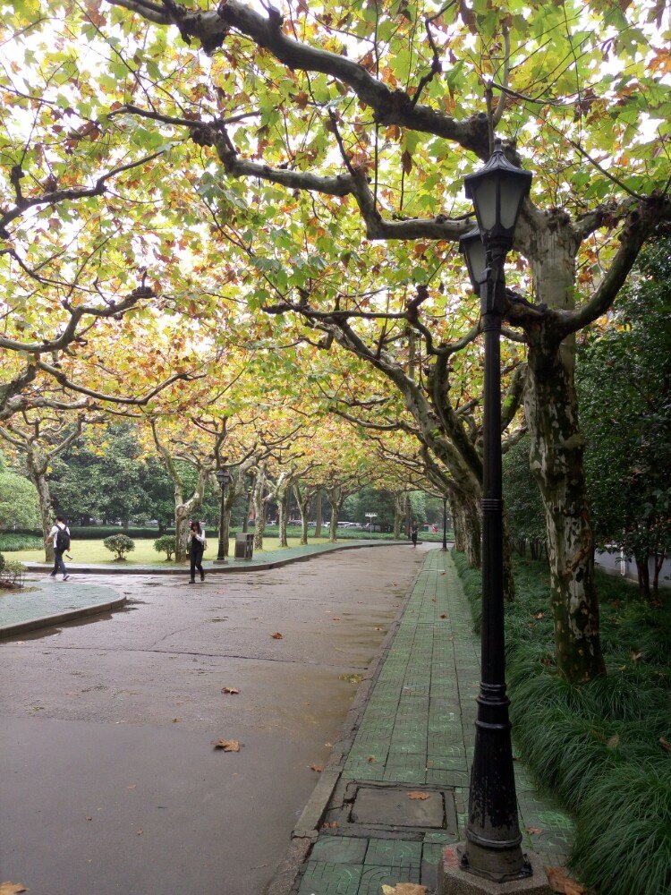 上海师范大学