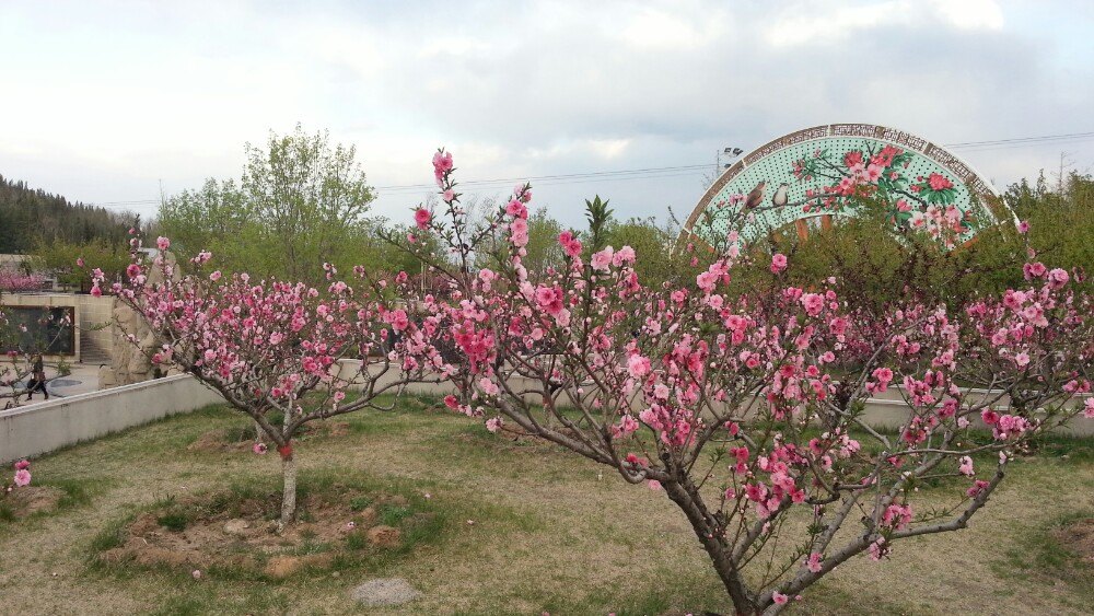 阳泉桃林沟景区好玩吗,阳泉桃林沟景区景点怎么样_点评_评价【携程