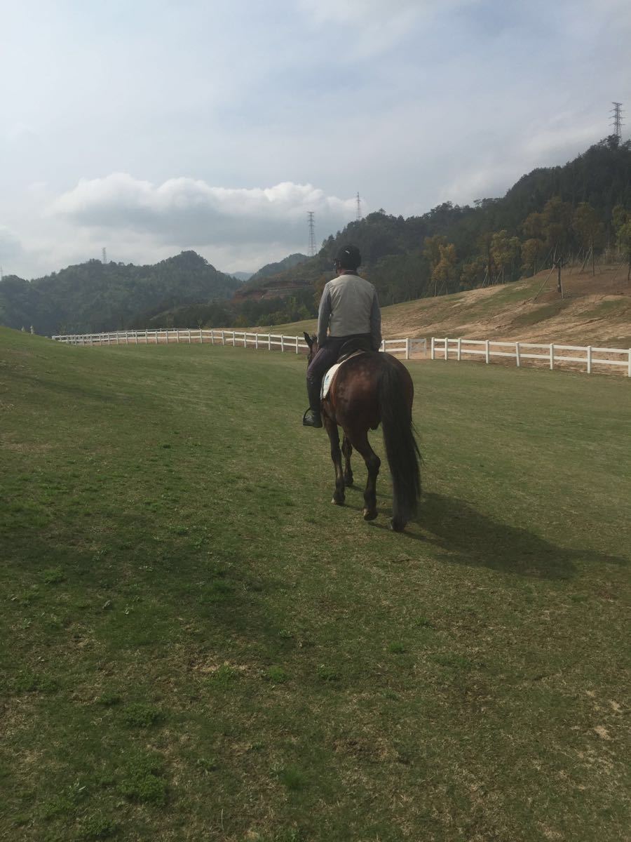 进贤湾马术公园旅游景点攻略图