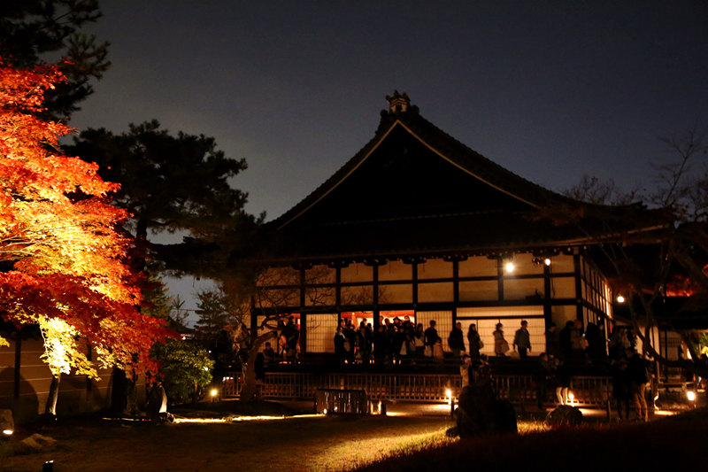 京都高台寺好玩吗,京都高台寺景点怎么样_点评_评价