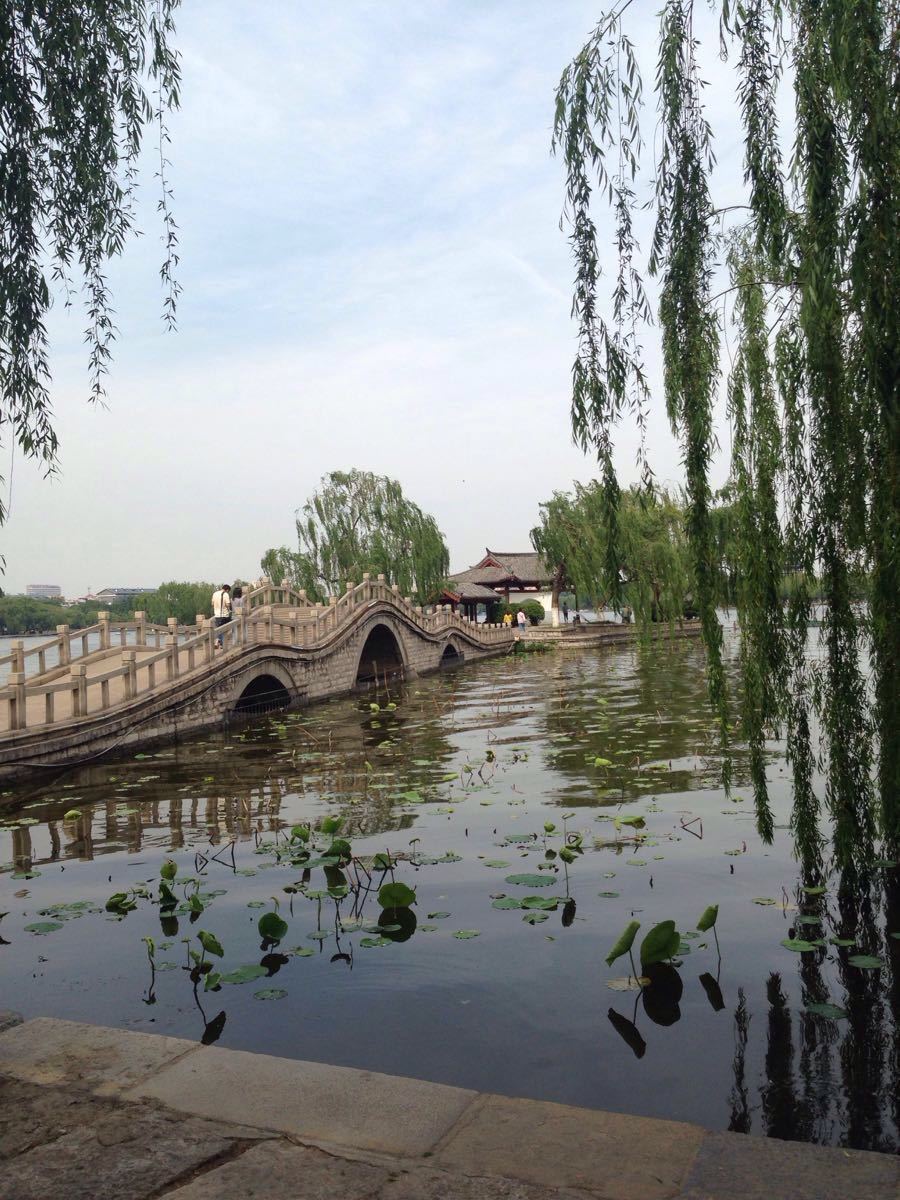 【携程攻略】济南大明湖景区景点,大明湖不算大,与的