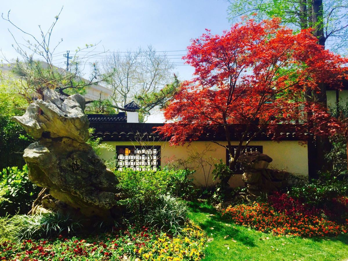 【携程攻略】松江区醉白池景点,醉白池是上海3a级风景