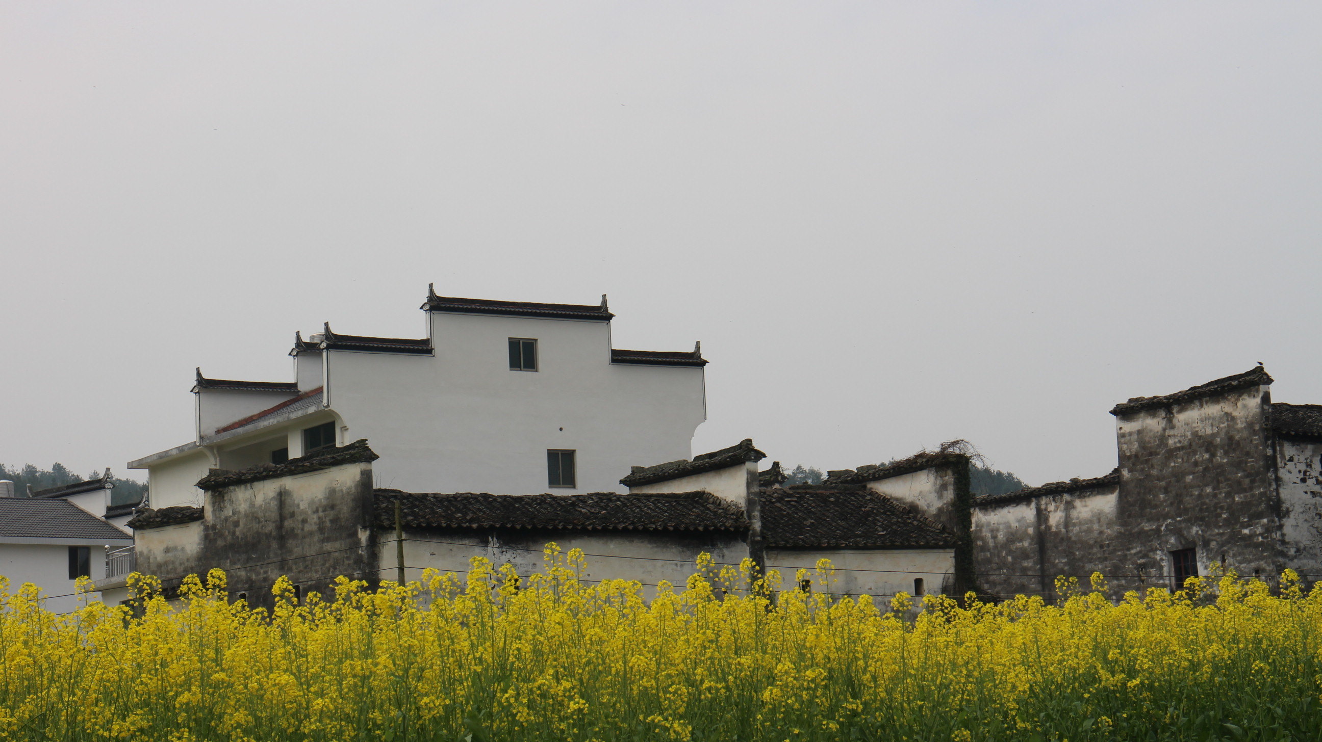 【携程攻略】江西上饶婺源思溪延村好玩吗,江西思溪延