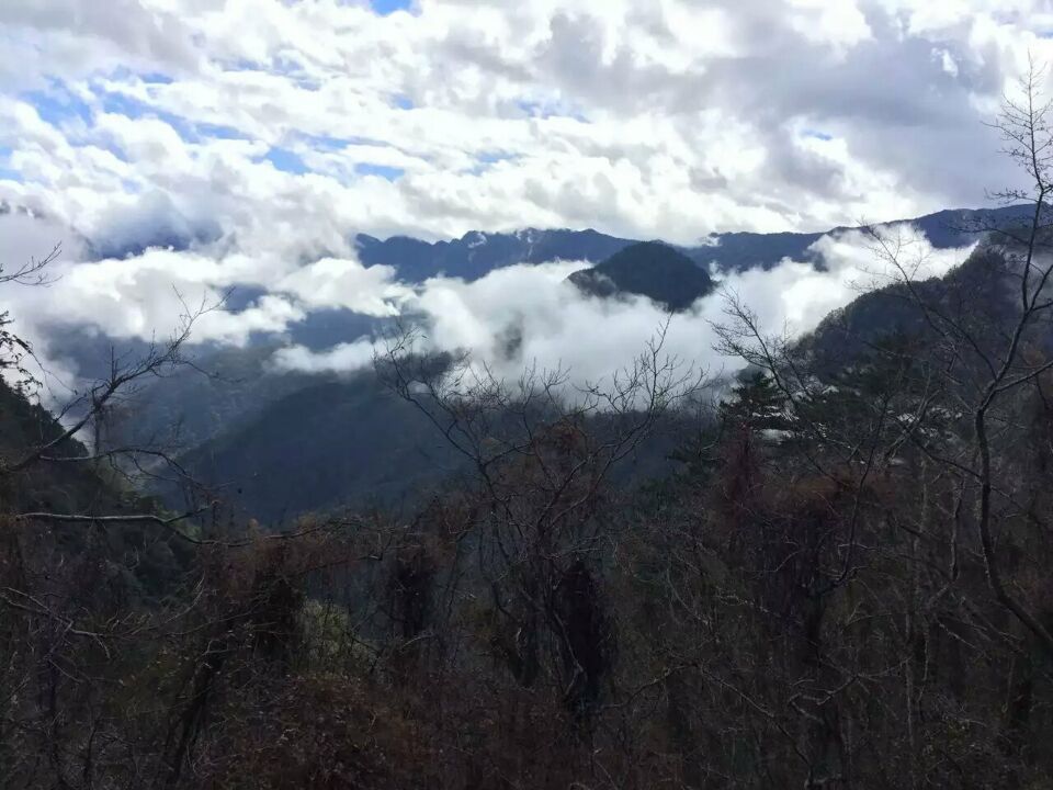 【携程攻略】太鲁阁合欢山景点,合欢山是台湾最美的角落之一,素有雪乡